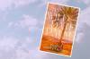 Cover art to Diane Armstrong's 'The Wild Date Palm'. Pictures supplied, Canva