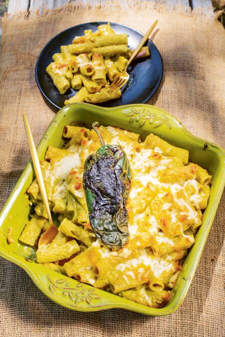 Smoked Poblano & Manchego Mac 'n' Cheese. Picture by Abigail Marie Rodriguez.