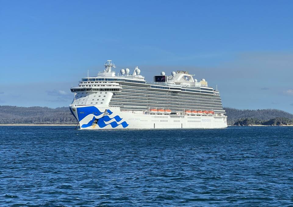 Majestic Princess in Eden's Twofold Bay. Picture: Akash Arora