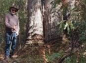 Eric on one of the walk trails at Jarrah Park, where he volunteers. Picture Supplied.