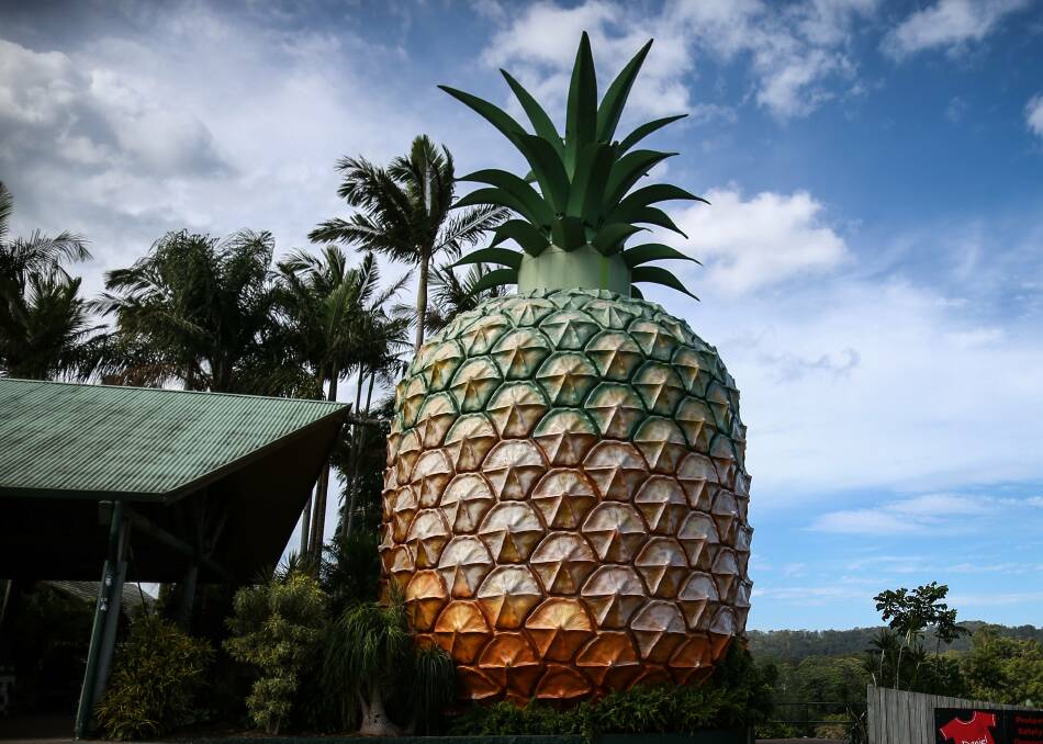 The Big Pineapple in Woombye. Photo: Alex Ellinghausen