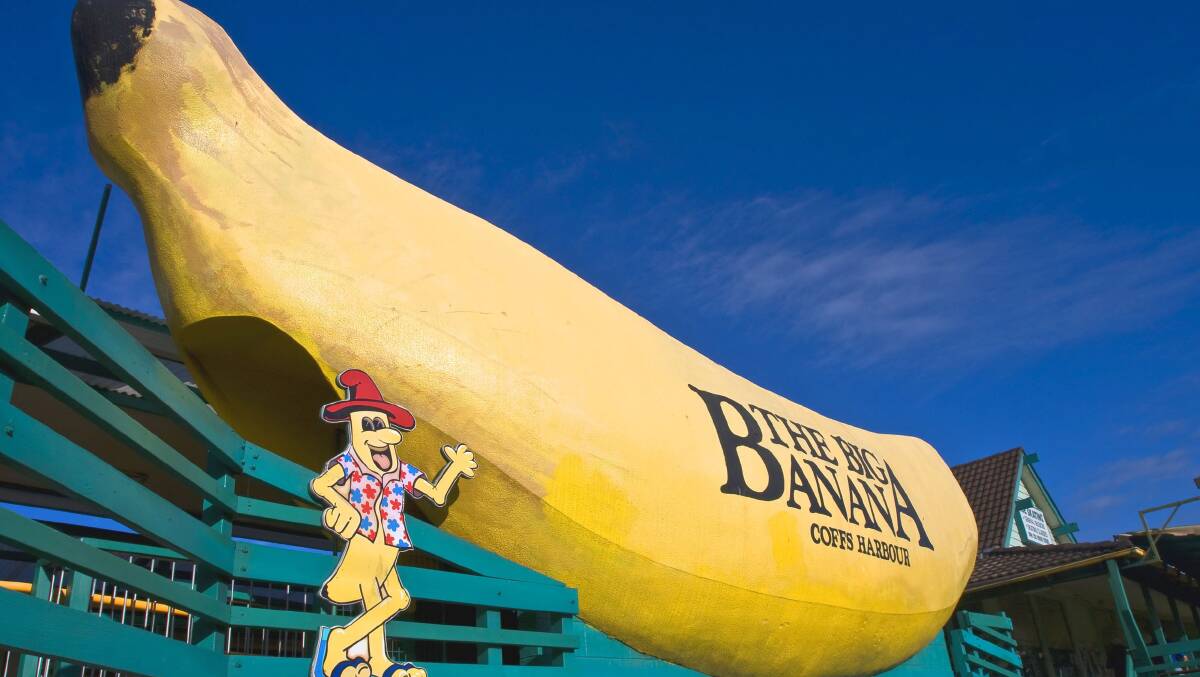 Coffs Habour's Big Banana is Australia's oldest 'big' tourist attraction. Picture supplied