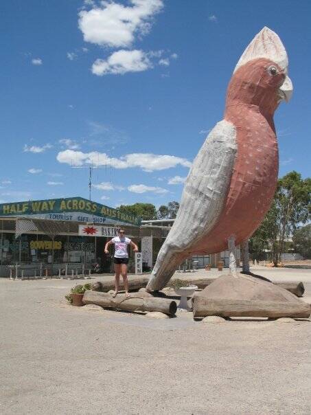 The Big Galah is located in the rural service town of Kimba. Picture supplied