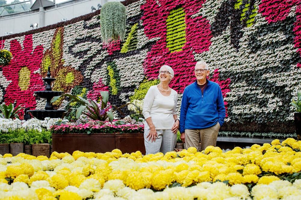 WALL OF WONDER: All About Flowers at the the Calyx in the Royal Botanic Gardens, Sydney. Photo James Horan