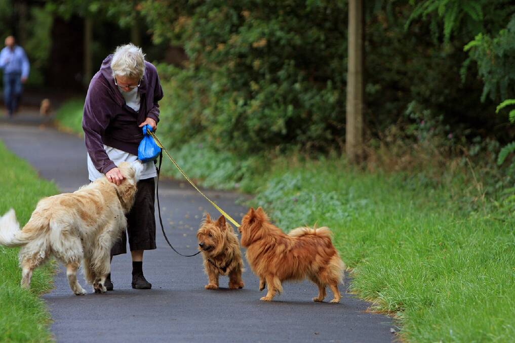 DOG THERAPY - Walking the dog could be the perfect way to stay fit as you age, say experts.