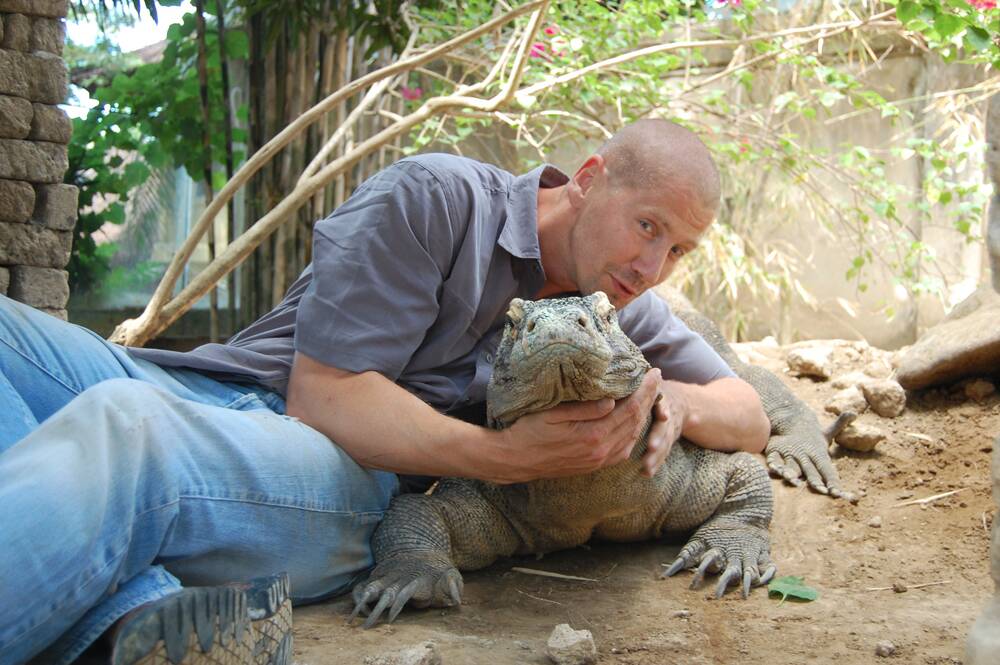 Bryan Fry thinks Komodo dragons could be the key to treating blood clotting diseases.
