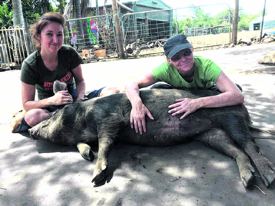 “I’LL GIVE YOU AN HOUR TO STOP DOING THAT”  – Kelly Nelder and Christine Hahn with blissed out porker Puppy.