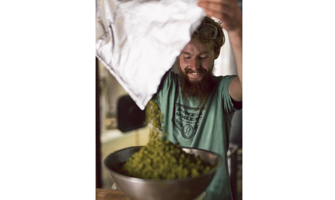 HEAPS OF HOPS – Brewer Stefan Landvogt with High Country-grown hops, the star of this year’s hops  festival.