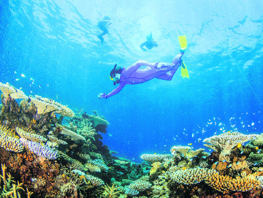 BE AMAZED – Snorkelling the Great Barrier Reef. Photo courtesy Tourism & Events Qld.