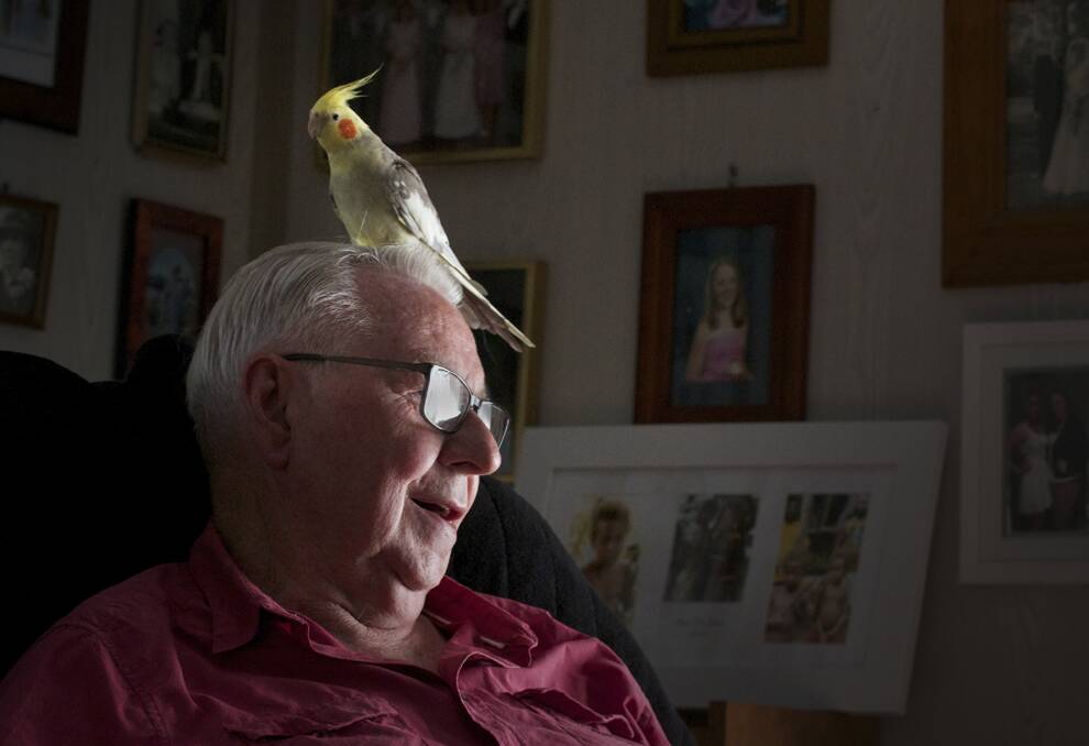 Barry Bedwell is contemplating the future with his pet cockatiel Basil, knowing he must leave his Wantirna home by January. The 80-year-old, who visits his wife in a nearby nursing home every day, is one of more than 200 residents affected by the sale of Wantirna Caravan Park. And the residents are not alone in despair over the sale of their park for redevelopment. Residents in parks at Bendigo, Werribee and Rosebud have similar stories to tell.