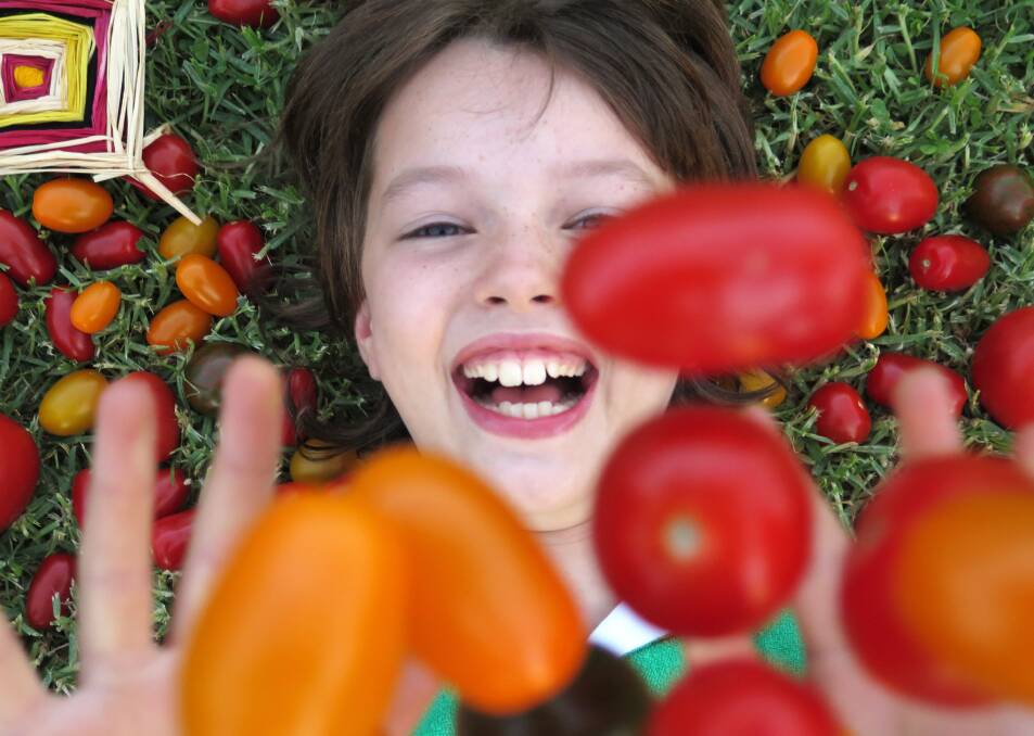 The Tomato Festival Sydney also offers plenty for the grandkids.