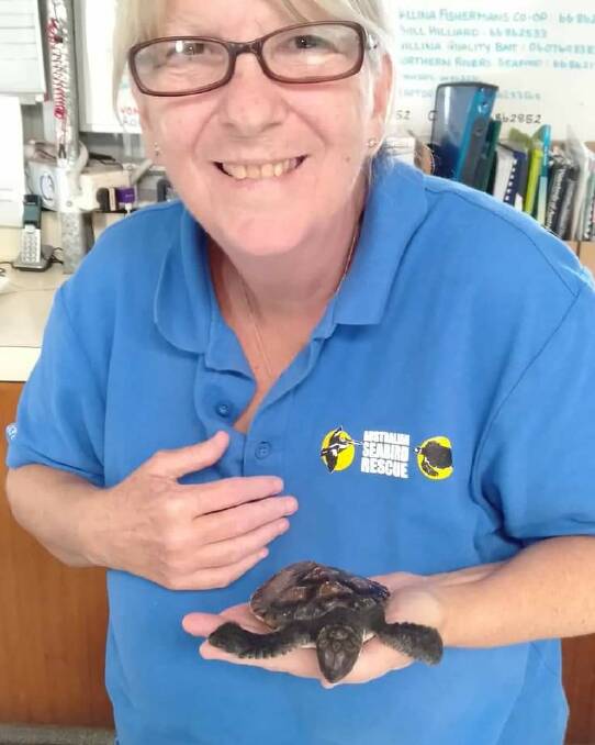 TOP BILLING: Cathy Gilmore with a rescued turtle.