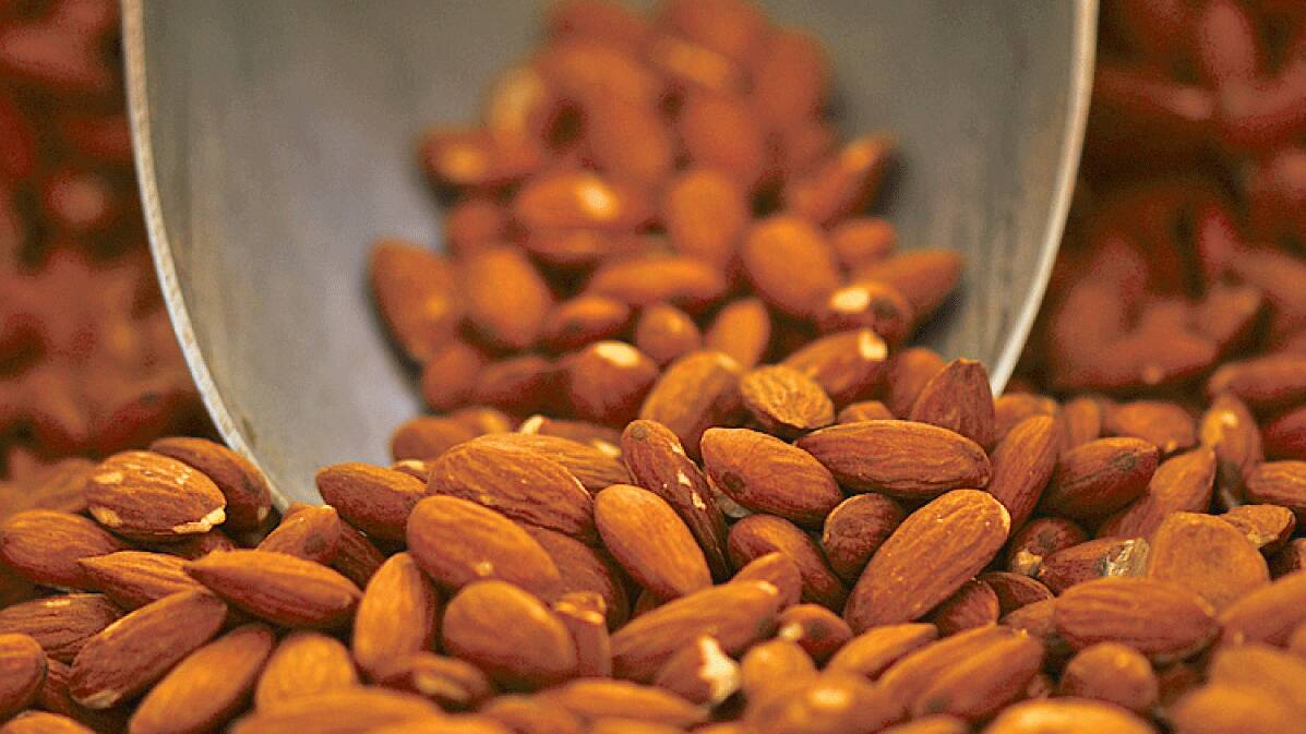 Almonds could keep weight gain at bay. File picture