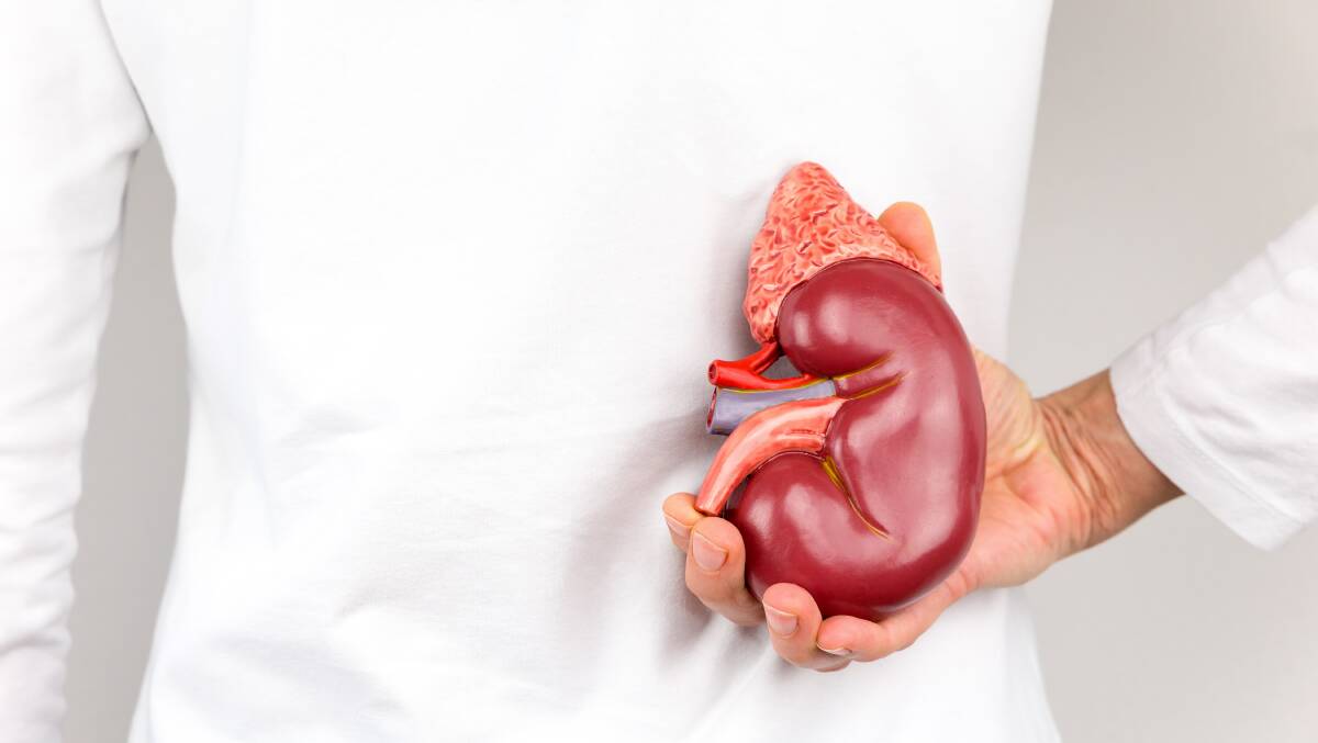 Aussies urged to get a kidney check