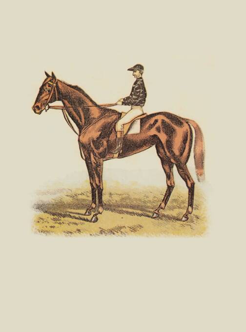 IMMORTAL: Archer, winner of the first two Melbourne Cups in 1986 and 1862.