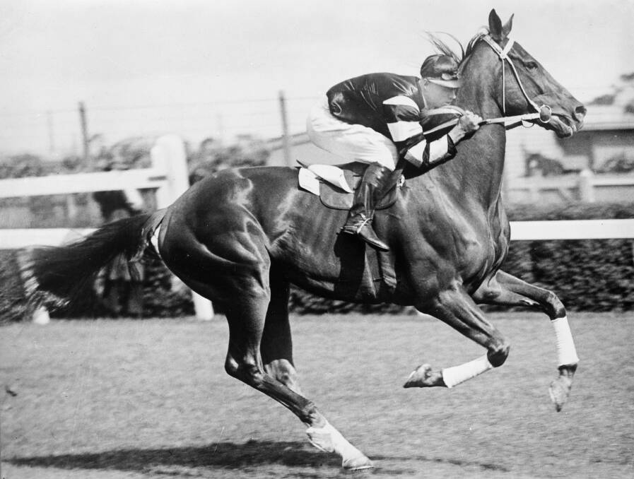 IMMORTAL: Phar Lap in his glory. Photo courtesy of Victoria Museum.