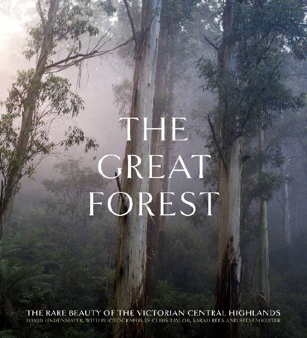 GREAT READ: The Great Forest reveals an extraordinary landscape..