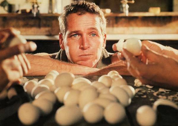 Paul Newman in the 1967 film Cool Hand Luke. Picture supplied