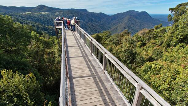 The Skywalk viewing platform, which is part of the Gondwana Rainforests of Australia World Heritage Area Dorrigo National Park. Picture by Robert Cleary/DPE