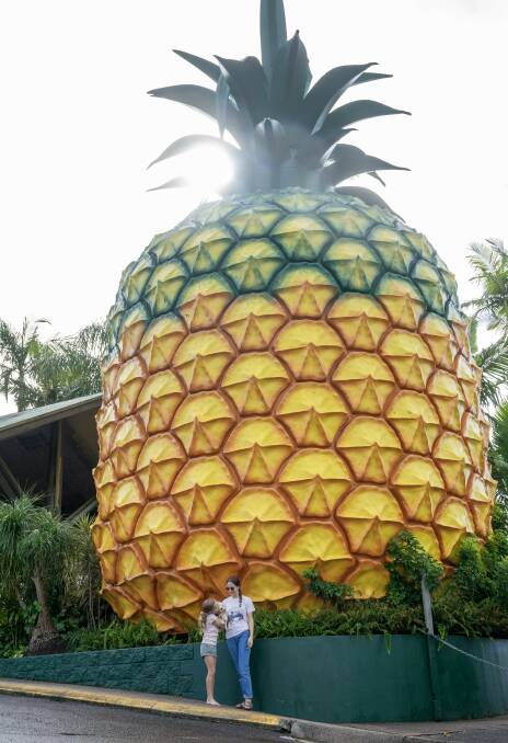 The Big Pineapple on the Sunshine Coast. Picture by Tourism and Events Queensland