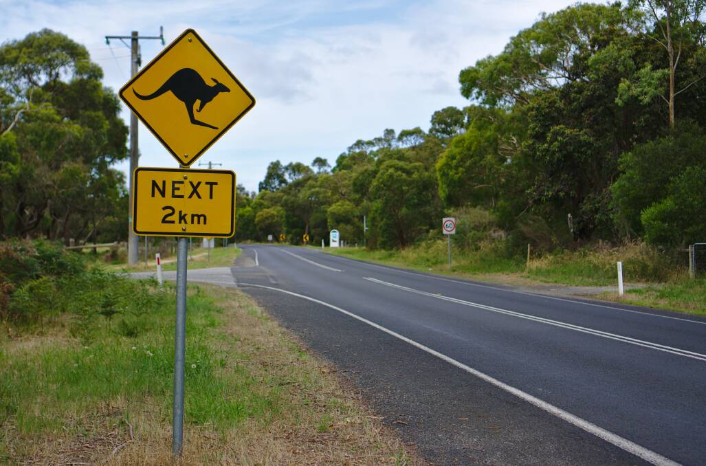 A kangaroo road sign on a country road. File picture