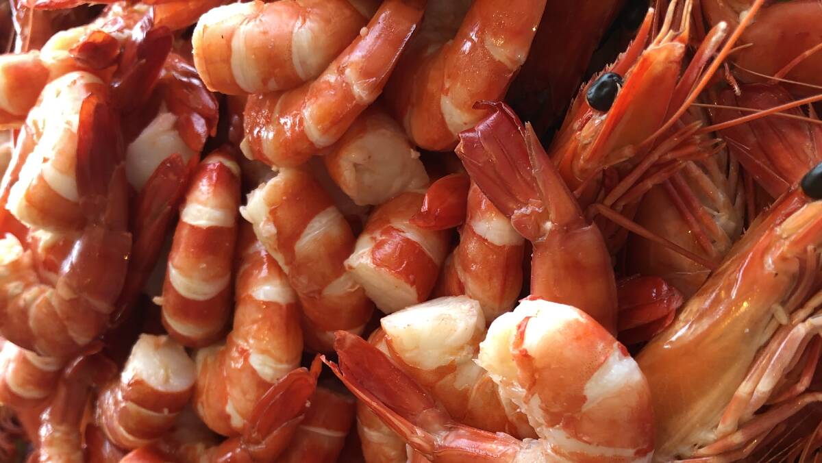 There are a number of qualities you should look at in a prawn before you buy. Picture supplied
