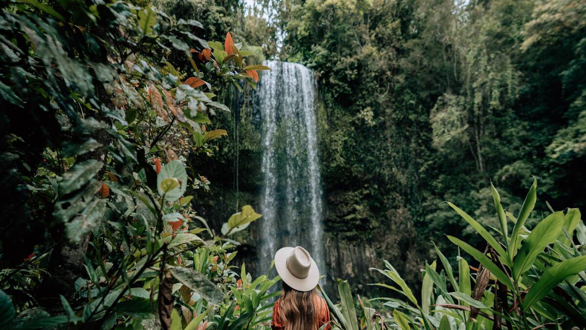 Millaa Millaa Falls is among the most photogenic cascades in Australia. Picture by Tourism and Events Queensland