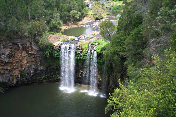 Enjoy exploring Northern New South Wales on Mid Coast Motor Inn's six-day Classic Tour. This is a view atop The Dangar Falls near Dorrigo, NSW. Shutterstock picture