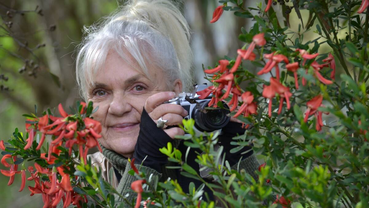 A CLOSER LOOK: Goolwa resident Lindy Downing in her garden with a templetonia plant. 