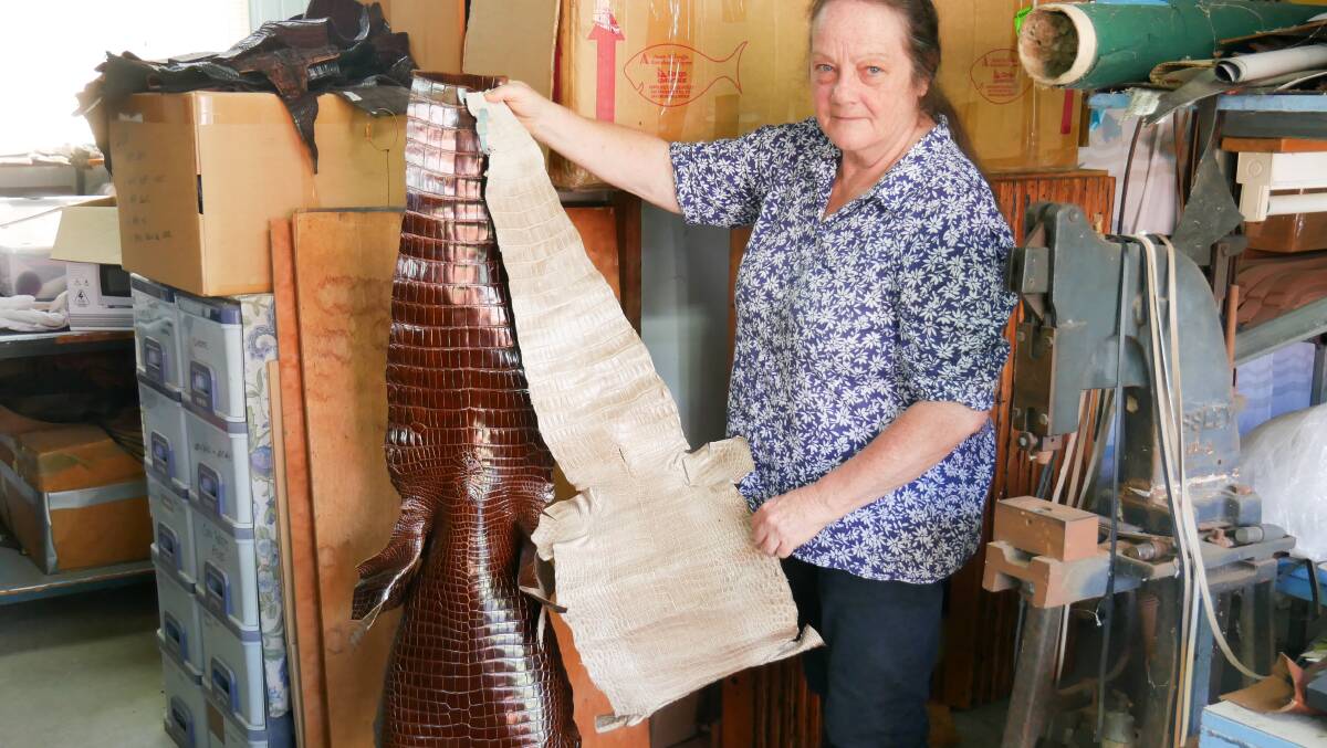 Mary Faux holds up two crocodile skins from Koorana Crocodile Farm near Yeppoon in central Queensland. 