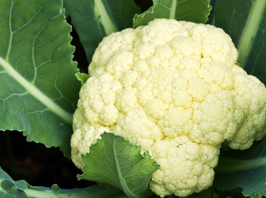 Does cauliflower have more health benefits than kale? Picture supplied
