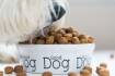 How fresh are your pets' food bowls?