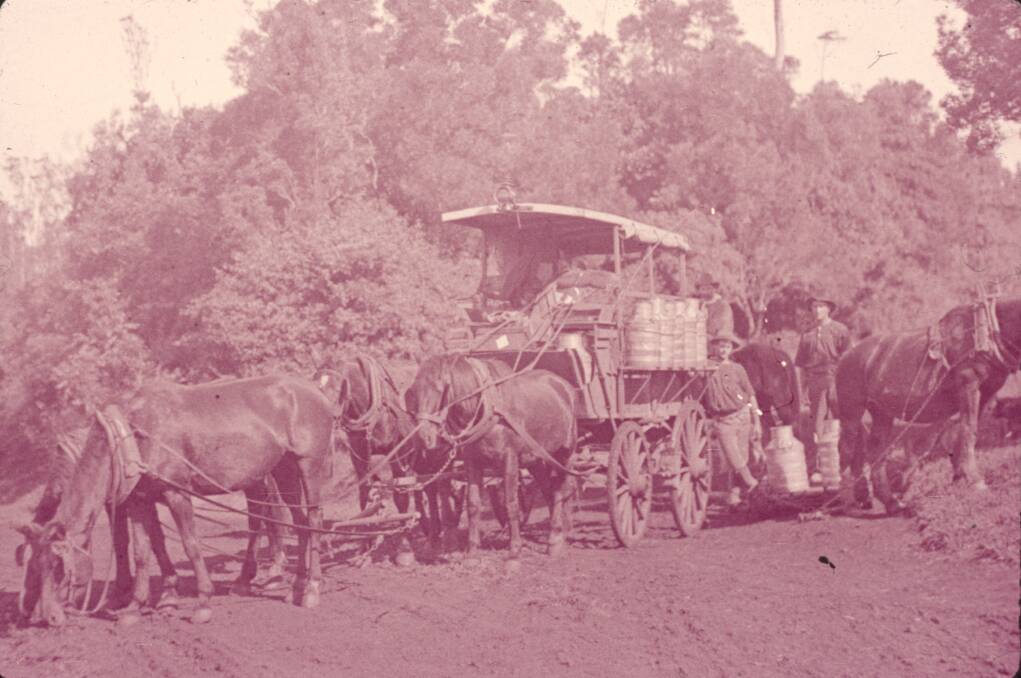Dairy farmers in early Canberra. Picture: Supplied