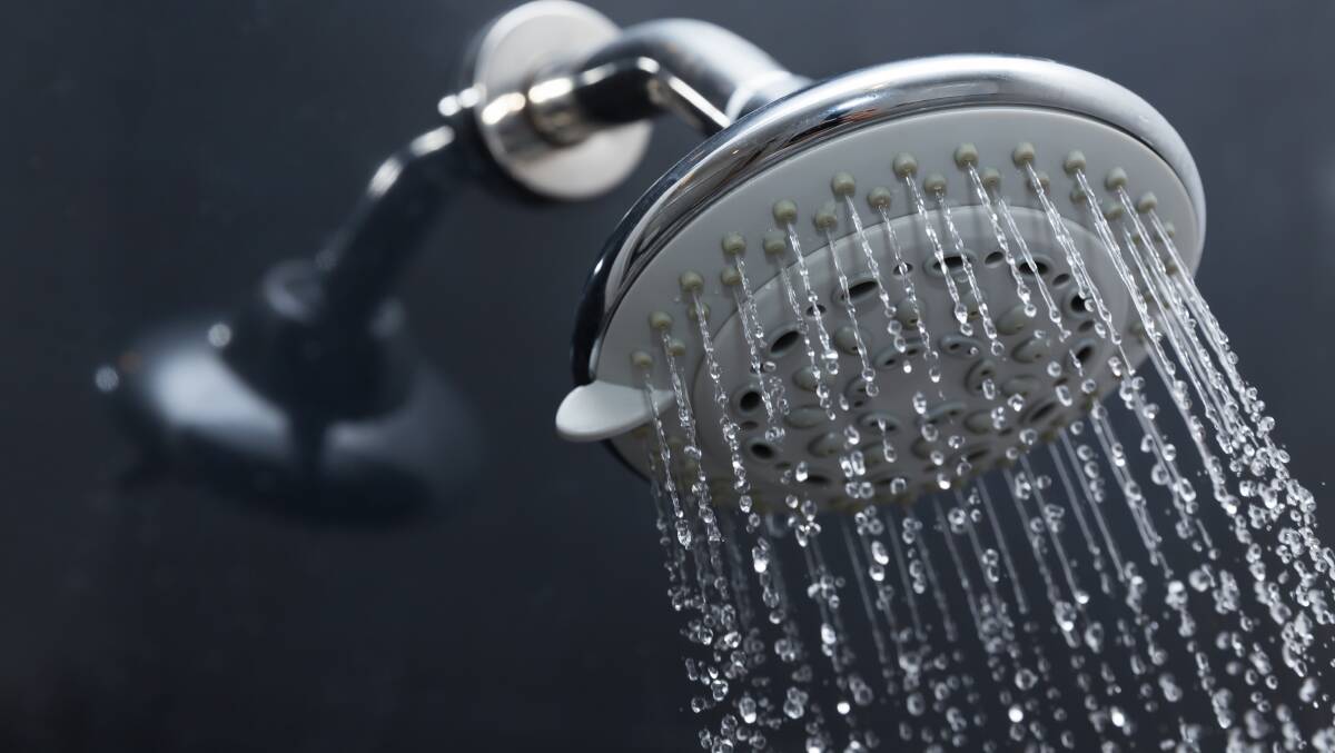 HIDDEN DANGER: Is your bathroom shower a potential source of Legionnaires disease? 
