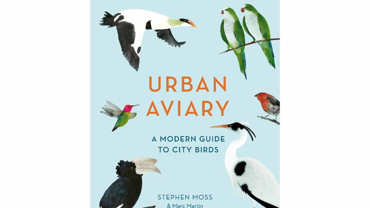 Birds and cities: an urban mix