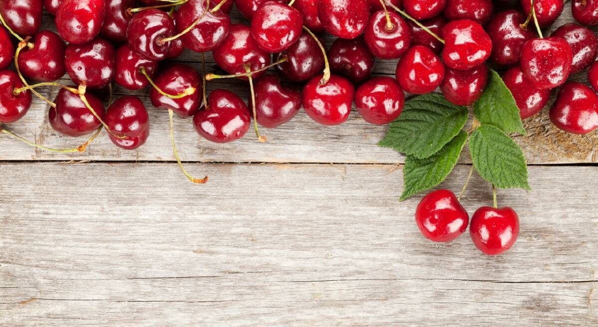 SWEET PICKINGS: Love cherries? Then check out Cowra Motor Inn's Cherry Festival tour around Young from November 24-27.