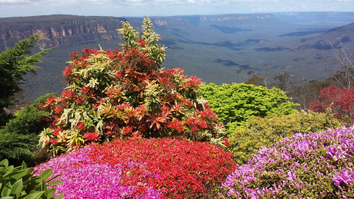 OPEN SEASON: See all the colours of the rainbow in the NSW Blue Mountains at Leura Gardens Festival. 