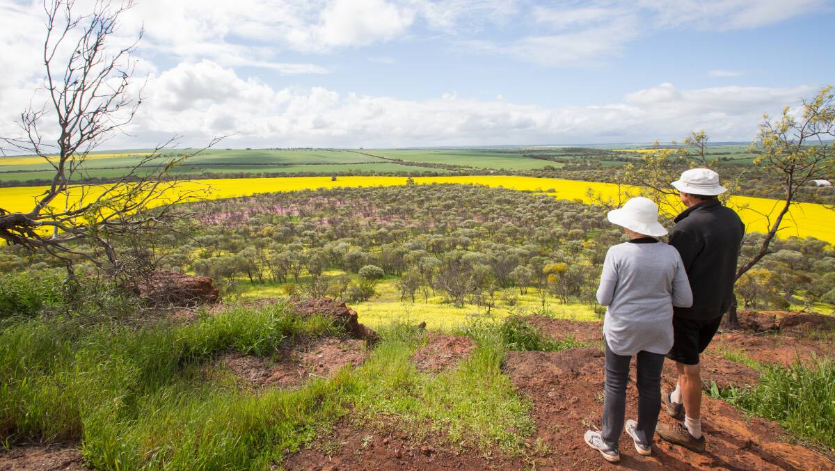 In the heart of wildflower country, the region of Mingenew comes to life during the season.