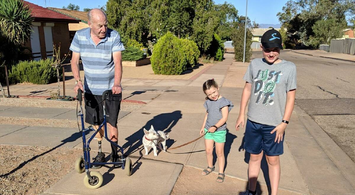ONE STEP AT A TIME: Amputee Peter Allan walking his Westie Jock with grandchildren Nat and Ollie. The 73-year-old Port Augusta retiree said the Limbs 4 Life support network is vital for amputees in regional and country areas.