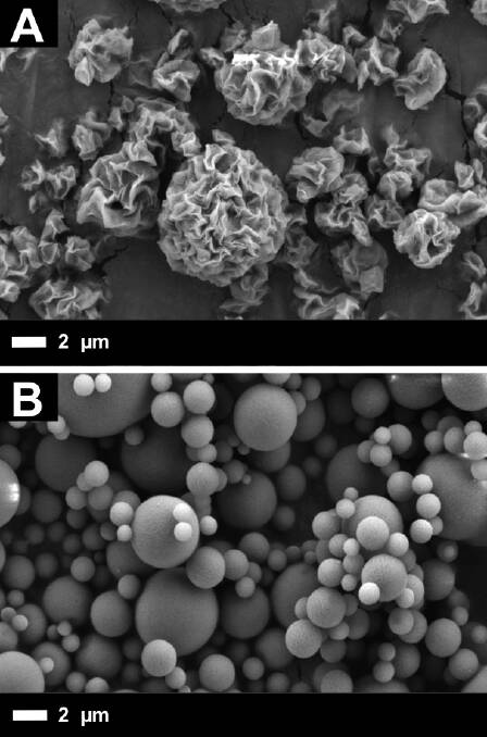 IN DETAIL: Scanning electron microscope (SEM) images show the natural montmorillonite clay particles (A) and the synthetic laponite 'anti-obesity' particles (B). 