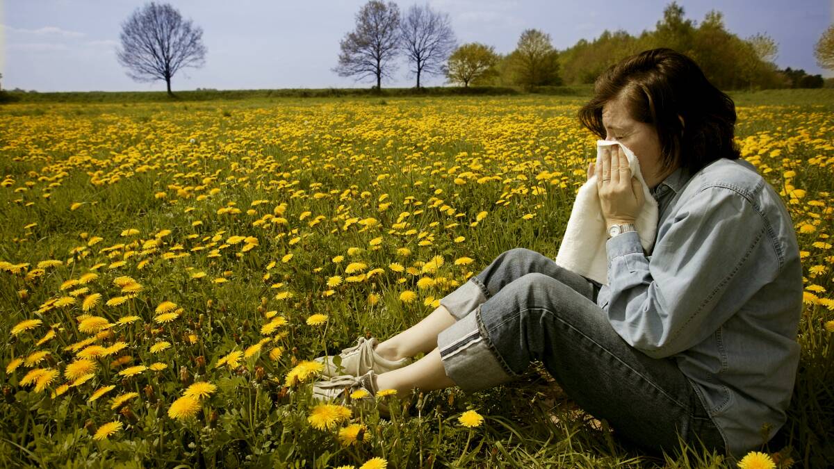 Pollen expert: don’t be complacent this hay fever season