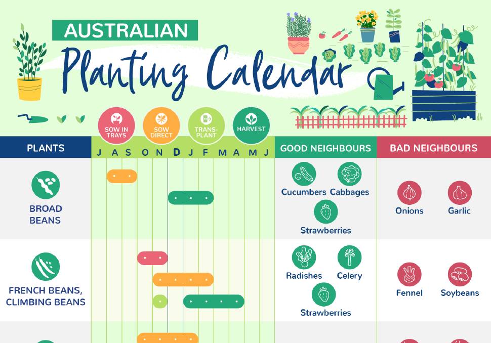 The Australian planting calendar can be printed out, then stuck on your fridge door or kitchen noticeboard. 
