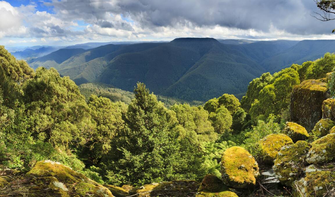 Gondwana Rainforests of Australia World Heritage Sites include sites in Barrington Tops National Park, NSW (pictured here from Thunderbolt Lookout). Photo: Shutterstock