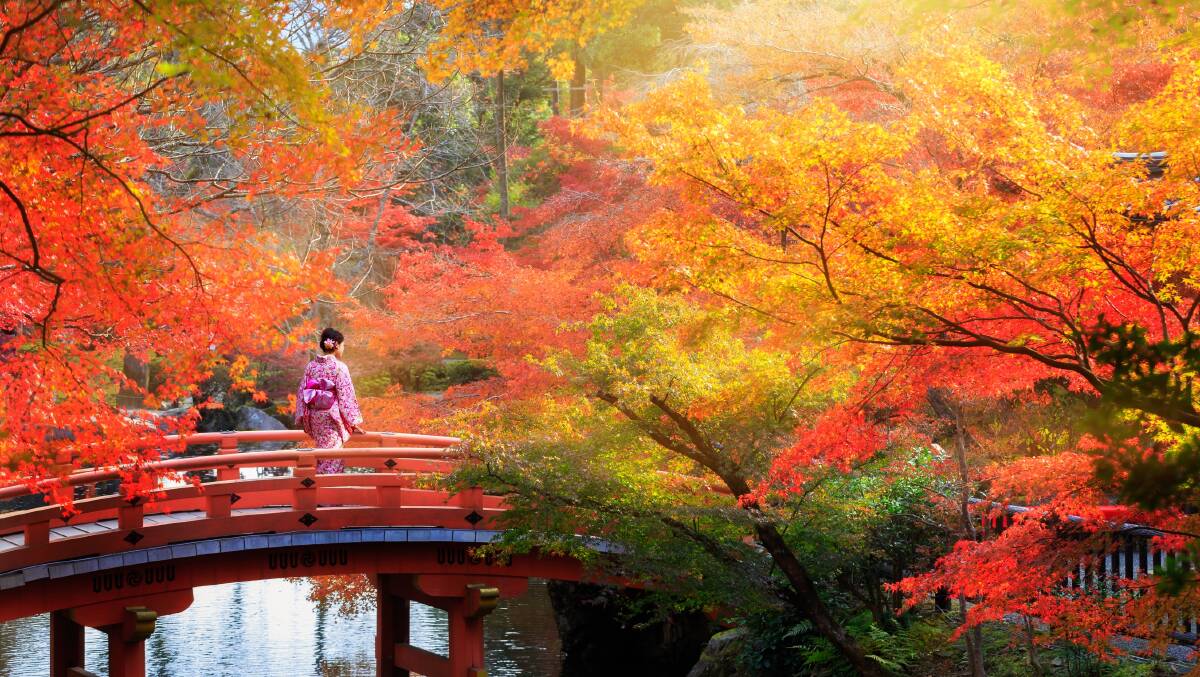 COLOUR BURST: Capture the splendour of Japan’s autumnal colours on a 16-night cruise.