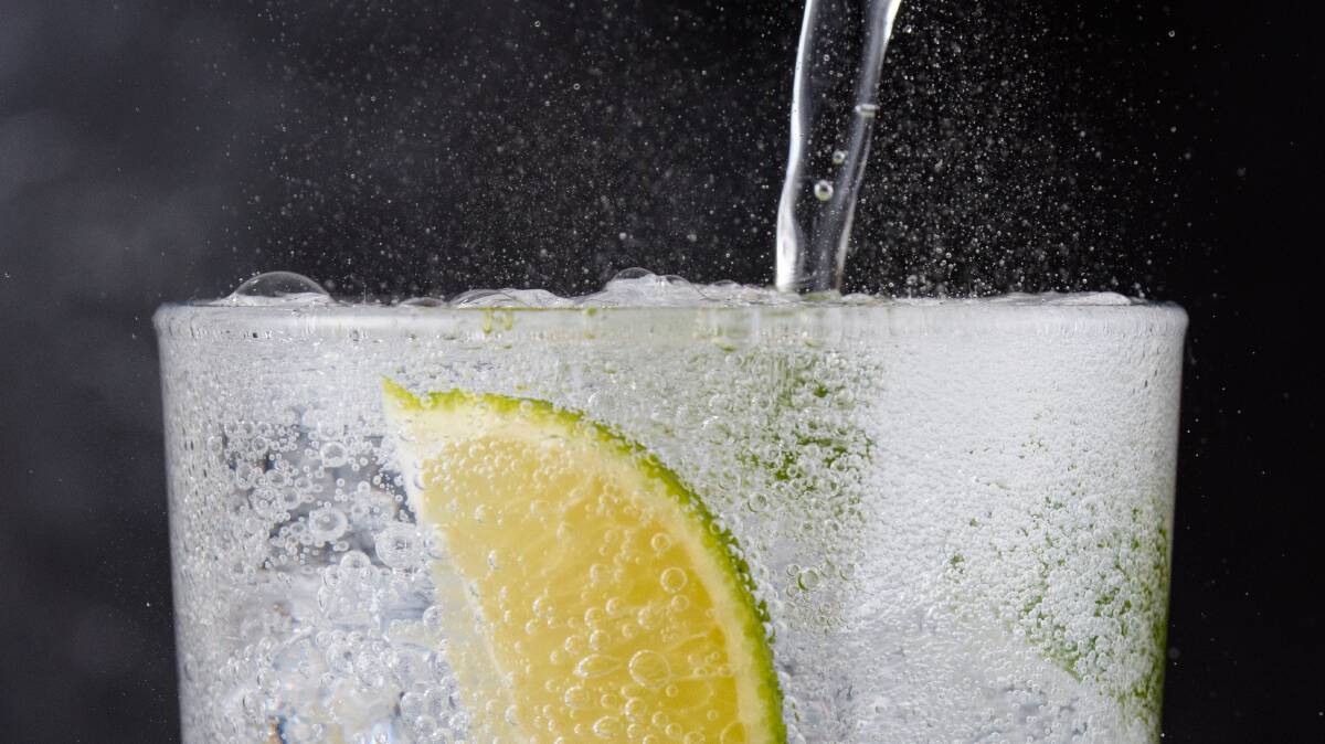 REFRESHING NEWS: Researchers at Queensland University found people with bigger brains find tonic water less bitter.