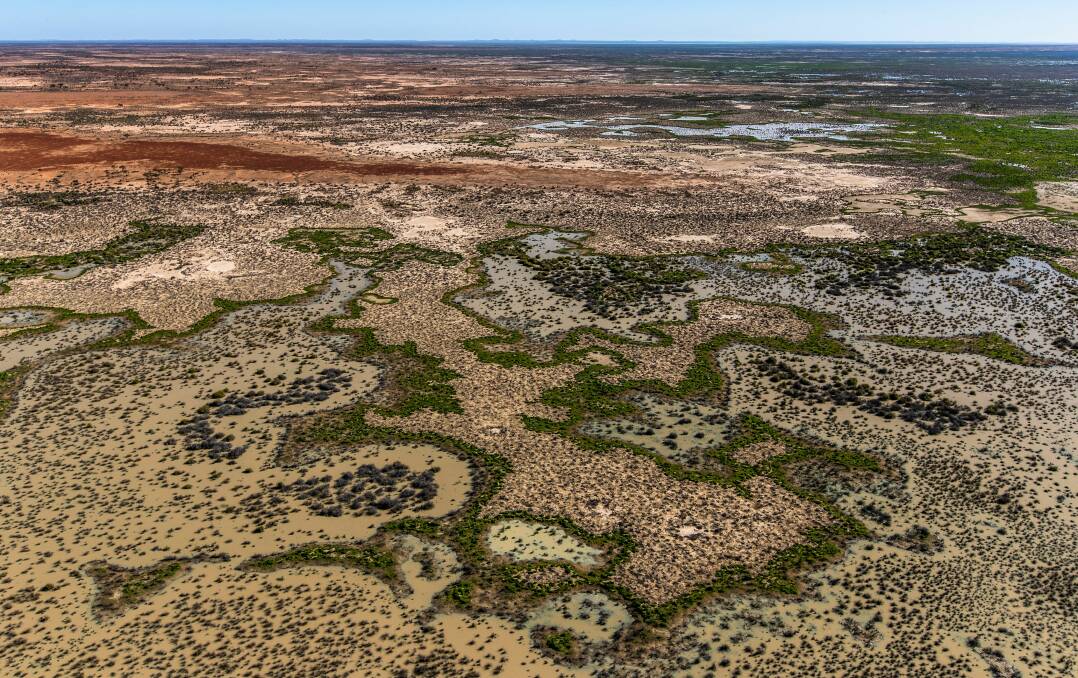 The 153,415 hectare Narriearra Station in far north west NSW is the largest purchase of private land for national parks in the state's history. Photo: NPWS