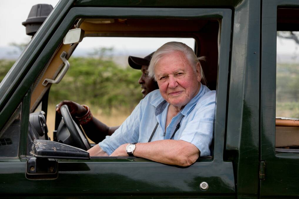 Sir David Attenbourough filming A Life on Our Planet in the Maasai Mara, Kenya. Photo: Keith Scholey/Silverback Films