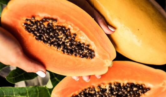 Could you pick a red papaya from a pawpaw?