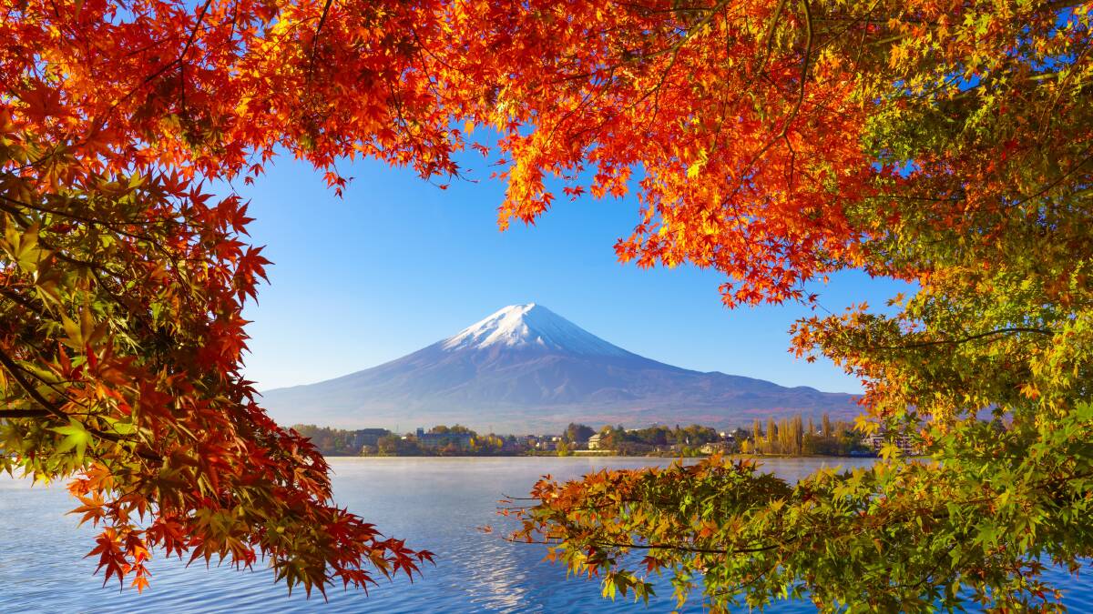 PEAK CONDITION: Get your camera ready for that 'must-have' shot of Mt Fuji, Japan's highest mountain.