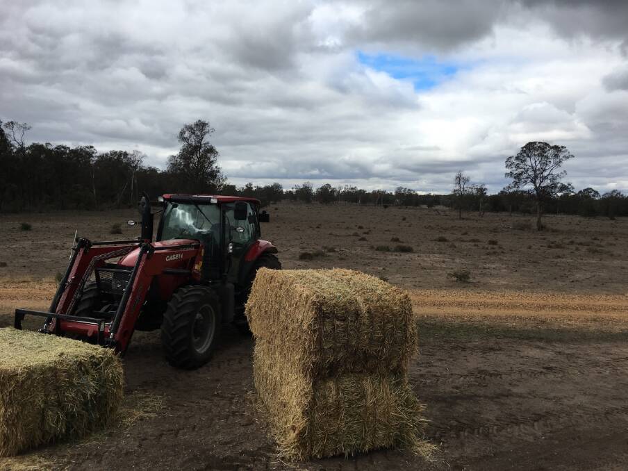 HAY RELIEF: Some of the hay that the Need For Feed Disaster Relief convoy trucked to drought-stricken farms near Moree.